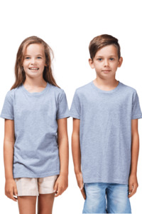 Alaska Basics: Tiger Tee Grey Marle