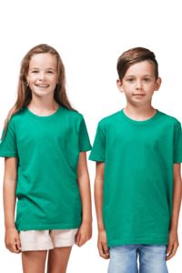 Alaska Basics: Tiger Tee Green