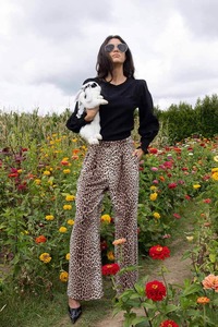 Womens Pants: Blair Pants Leopard